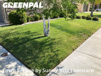 Yard Mowing nearby Menifee, CA, 