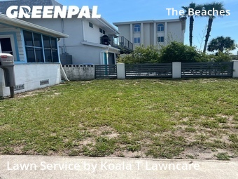 Grass Cut nearby Neptune Beach, FL, 