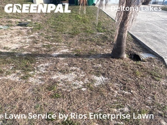 Lawn Care Service nearby Deltona, FL, 