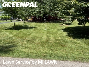 Lawn Cutting nearby Affton, MO, 