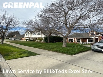 Yard Cutting nearby Kerman, CA, 