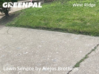Landscape Design In Chicago,60645,Landscaping by Alejos Brothers, work completed in Jun , 2026