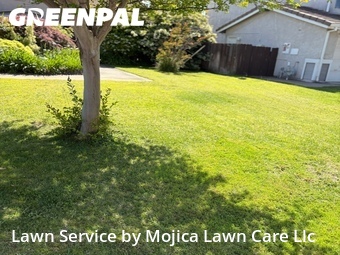 Lawn mowing work completed in Rocklin, CA