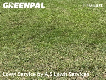 Lawn Maintenance nearby Converse, TX, 