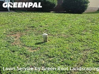 Lawn Cut nearby Charlotte, NC, 