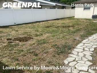 Yard Cutting nearby Saint Petersburg, FL, 