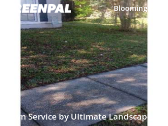 Grass Cut nearby Bloomingdale, FL, 