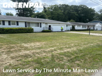 Grass Cut nearby Norton Shores, MI, 