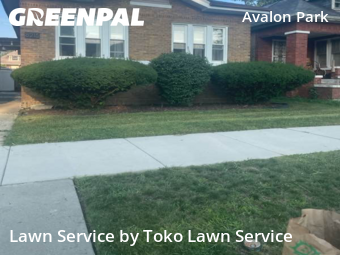 Lawn Cutting nearby Chicago, IN, 