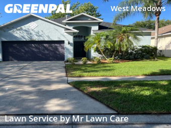 Lawn Mow nearby Tampa, FL, 
