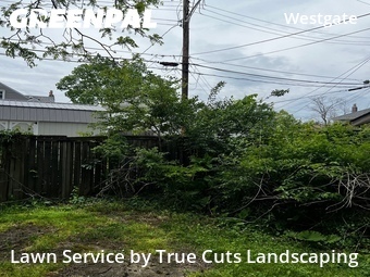 Lawn Maintenance nearby Columbus, OH, 
