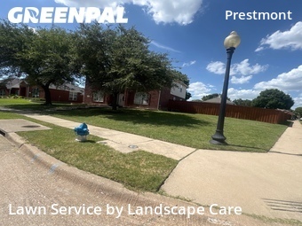 Lawn Cut nearby Frisco, TX, 