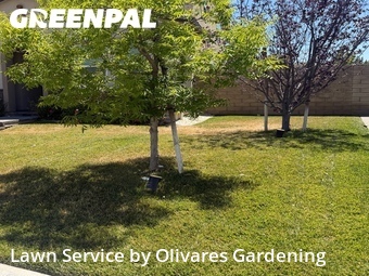 Lawn mowing work completed in Santa Clarita, CA