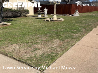 Lawn mowed in Irving, 75062