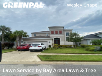 Lawn Care nearby Wesley Chapel, FL, 