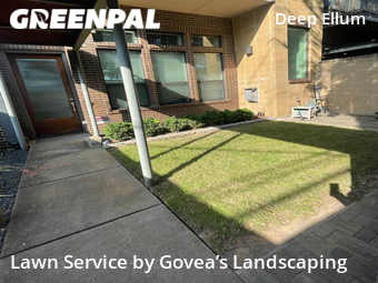 Lawn Cut nearby Dallas, TX, 