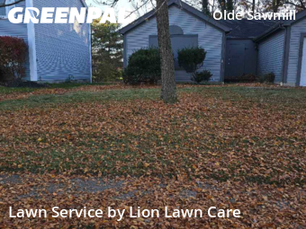 Lawn Mowing Service nearby Dublin, OH, 
