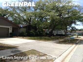 Grass Cutin Palm Harbor,34683,Lawn Service by Grass Sargent, work completed in Jun , 2026