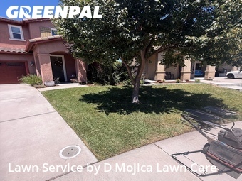 Lawn Cutting nearby Elk Grove, CA, 