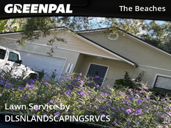 Lawn Care nearby Jacksonville Beach, FL, 