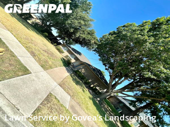 Yard Mowing nearby Mesquite, TX, 