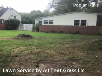 Grass Cutting nearby Norfolk, VA, 