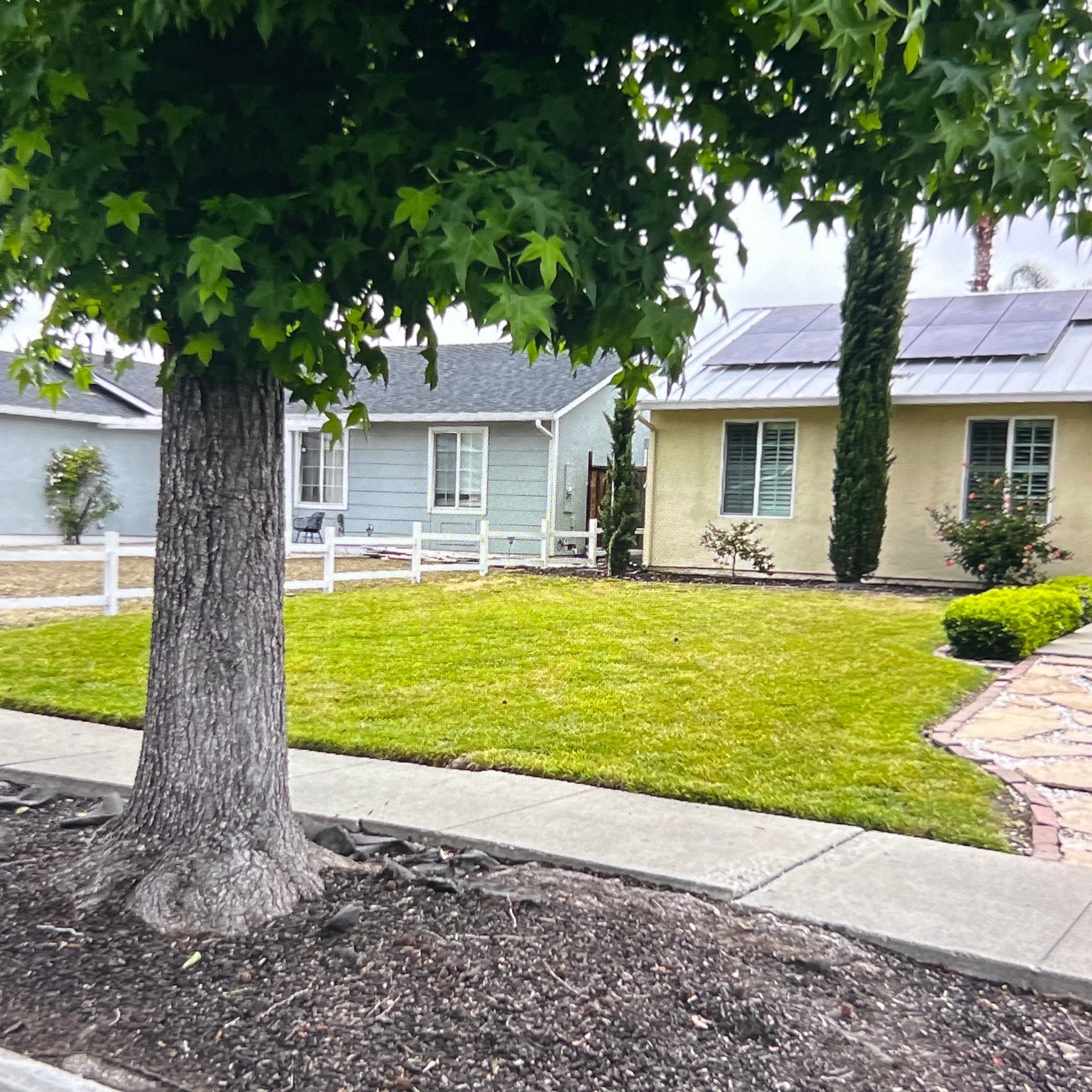 local-landscaping-services-in in Palo Alto, CA