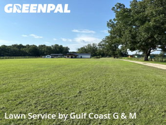 Lawn Cut nearby Loxley, AL, 