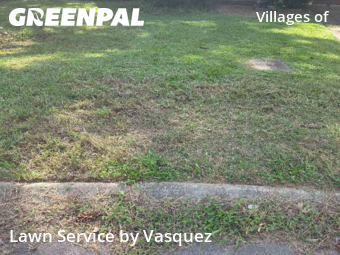 Lawn Mowing nearby Nashville, TN, 