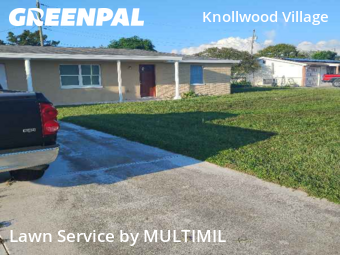 Yard Cutting in Holiday, 34690, Yard Cutting by Multimil , work completed in 14 Sep, 2025 