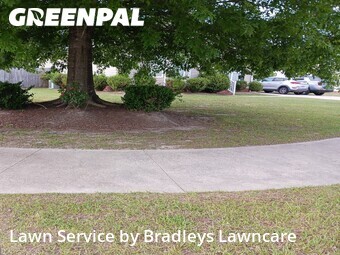 Yard Cutting nearby Greenville, NC, 