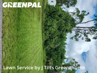 Yard Cutting nearby Port Charlotte, FL, 