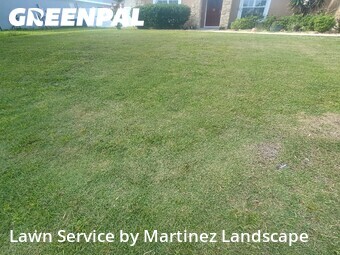 Lawn mowed in Eustis, 32726