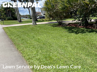 Lawn Mowing nearby Davie, FL, 