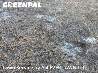 Lawn Mowing Service nearby Brooksville, FL, 