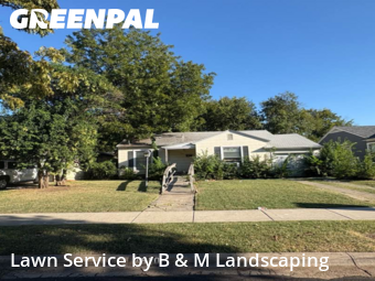 Lawn Mowing Servicein Dallas,75235,Grass Cut by B & M Landscaping, work completed in Nov , 2025