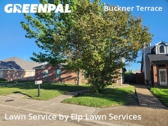 Lawn Mowing nearby Dallas, TX, 