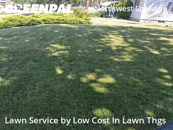 Lawn mowed in Spokane, 99205