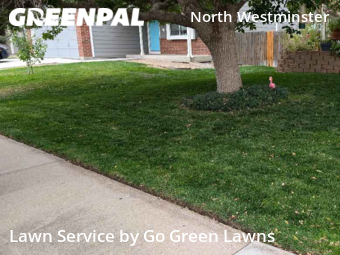 Lawn Service nearby Westminster, CO, 