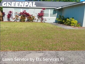 Lawn Servicein Dunedin,34698,Lawn Care by Etc Services Fl, work completed in Jun , 2026