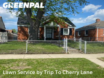 Grass Cutting nearby Hammond, IL, 