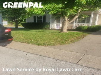 Lawn Cut nearby Springfield, MO, 