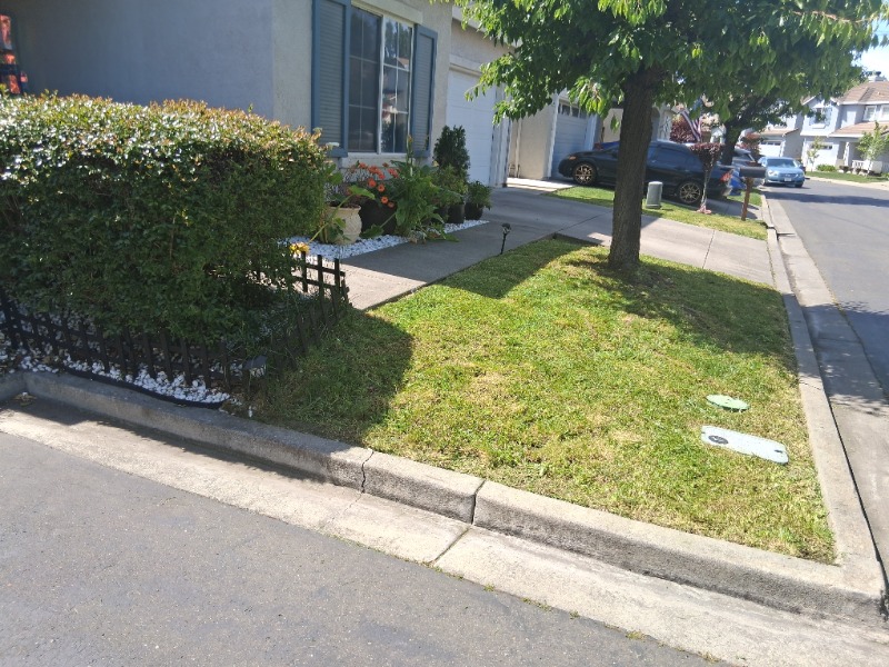 lawn-care-services-in in Dublin, CA
