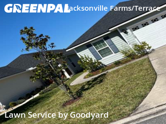 Lawn Maintenancein Jacksonville,32221,Lawn Maintenance by Goodyard , work completed in Nov , 2025