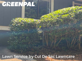 Lawn Care nearby Stone Mountain, GA, 