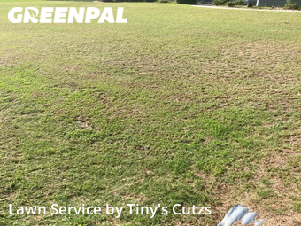 Yard Management in Sparks, 31647, Lawn Upkeep by Tiny's Cutzs , work completed in Nov , 2025
