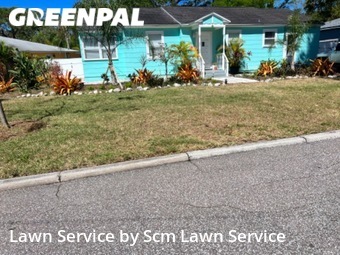 Lawn Mow nearby Dunedin, FL, 