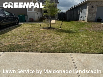 Lawn Cutting nearby Tomball, TX, 