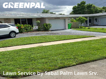 Lawn Servicein Sunrise,33322,Lawn Mowing by Sabal Palm Lawn Srv., work completed in Dec , 2025