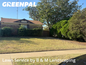 Yard Care Services in Cedar Hill, 75104, Lawn Care by B & M Landscaping, work completed in Nov , 2025